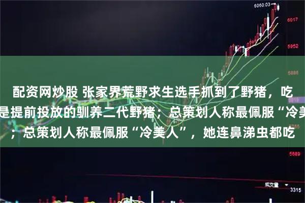 配资网炒股 张家界荒野求生选手抓到了野猪，吃得满嘴流油，赛事方：是提前投放的驯养二代野猪；总策划人称最佩服“冷美人”，她连鼻涕虫都吃