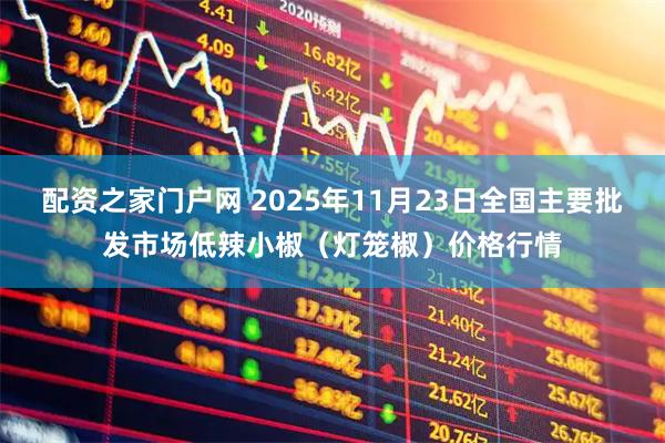 配资之家门户网 2025年11月23日全国主要批发市场低辣小椒（灯笼椒）价格行情